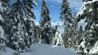 'Snow Wheeler' Takes in Winter Wonder of Oregon's King Mountain