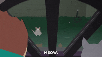 cat basketball GIF by South Park 