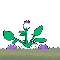 Angry For Real Sticker by Magic Eden