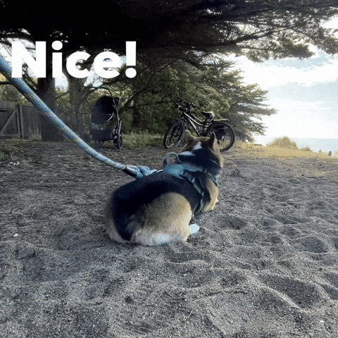 Nice GIF