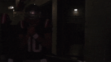 Football Nfl GIF by New England Patriots
