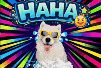 Ha Ha Laughing GIF