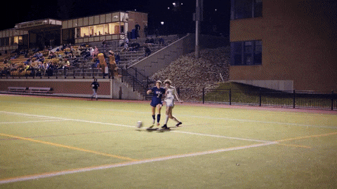 Womens Soccer GIF by Norwich University