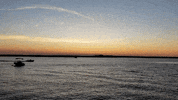 Jersey Shore Summer GIF by No Cheese Records
