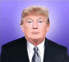 trump GIF