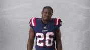 Sony Michel Yes GIF by New England Patriots