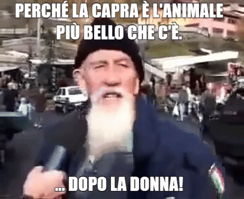 donna capra GIF