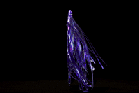 DMDRN party celebration logo 3d GIF