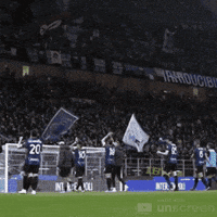 Goal Tuurlijk GIF by VV Schalkwijk