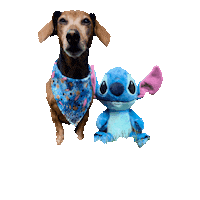 Stitch Daschund Sticker by Geekster Pets