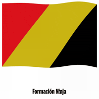 Comunidad Valenciana Flag GIF by Formación Ninja