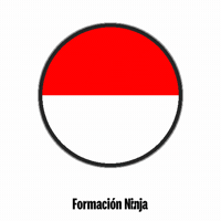 Flag Indonesia GIF by Formación Ninja