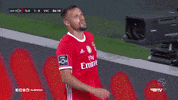 Sl Benfica Slbgif GIF by Sport Lisboa e Benfica