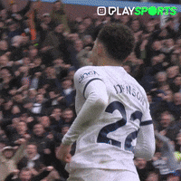 Happy Premier League GIF by Play Sports