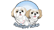 Nacho Momojiro Sticker