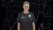 Svs1916Marketing GIF by SV Sandhausen