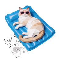 Petinsurance Sticker by getShory