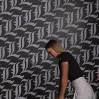 Go Cards GIF by Louisville Cardinals