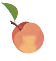 Belvoirfarm_uk peach peaches belvoir belvoir farm Sticker