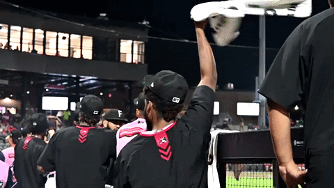 fayettevillewoodpeckers giphyupload happy excited baseball GIF