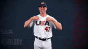 Pro GIF by USA Baseball