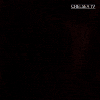 chelseafc happy football london chelsea GIF
