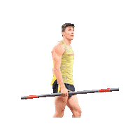Pole Vault Spirit Sticker by Gill Athletics