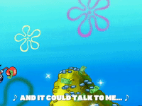 season 5 GIF by SpongeBob SquarePants