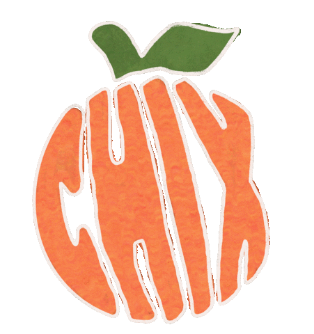 TheBeachNut cute retro orange fruit Sticker
