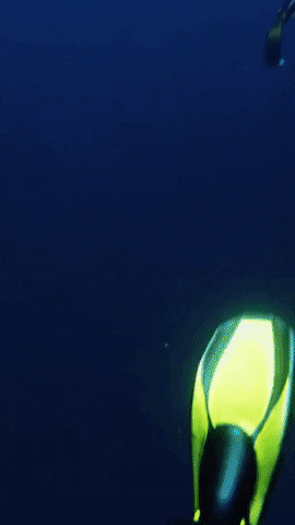 nguynthanhhiu4e20 giphyupload GIF