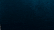 small town mermaid GIF by Siren
