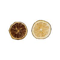 citreve citreve freezedriedcitrus freezedriedvsdehydrated Sticker