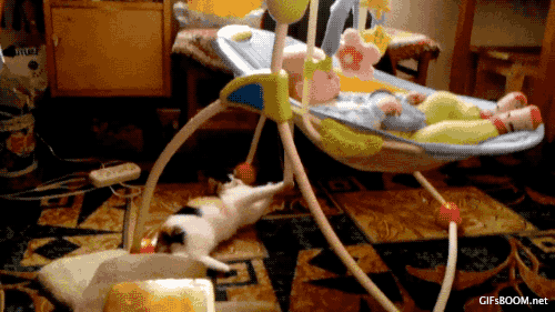 cat kid GIF