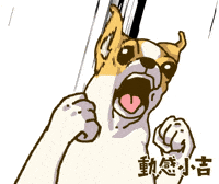 Animation Dog GIF