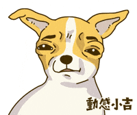 Animation Dog GIF