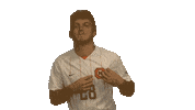 Cnms21 Sticker by Carson-Newman Athletics