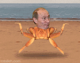 vladimir putin russia GIF by Cheezburger