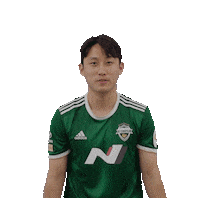 jeonbuk1994 하트 전북현대 jeonbuk 전북 Sticker
