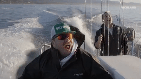 viceland GIF by Dead Set on Life