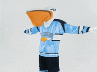 PelicansFi sports hockey mascot ice hockey GIF