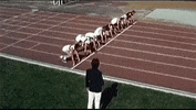 Race Chaos GIF by hamlet