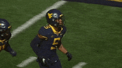 College Football GIF by WVU Sports