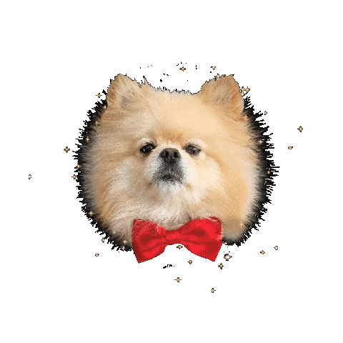 thorpompup dog star puppy boss Sticker