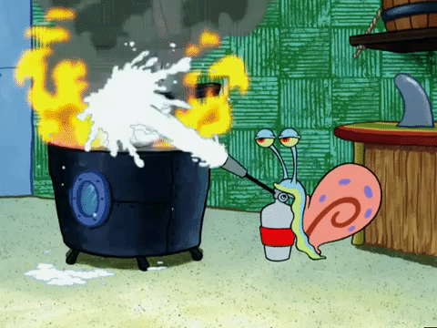 season 5 to love a patty GIF by SpongeBob SquarePants