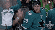 happy ice hockey GIF by NHL