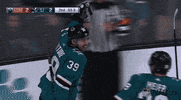ice hockey hug GIF by NHL