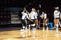 Winthrop Volleyball GIF by Winthrop Athletics