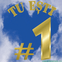 Celebrate Number 1 GIF by echilibrultau