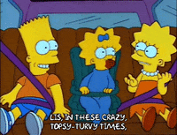 Season 2 Episode 20 GIF by The Simpsons