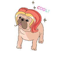 Happy Dog Sticker by Ivo Adventures